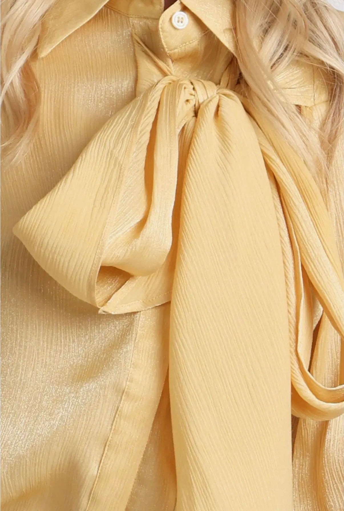 Luminous Crinkled Tie- Neck Blouse