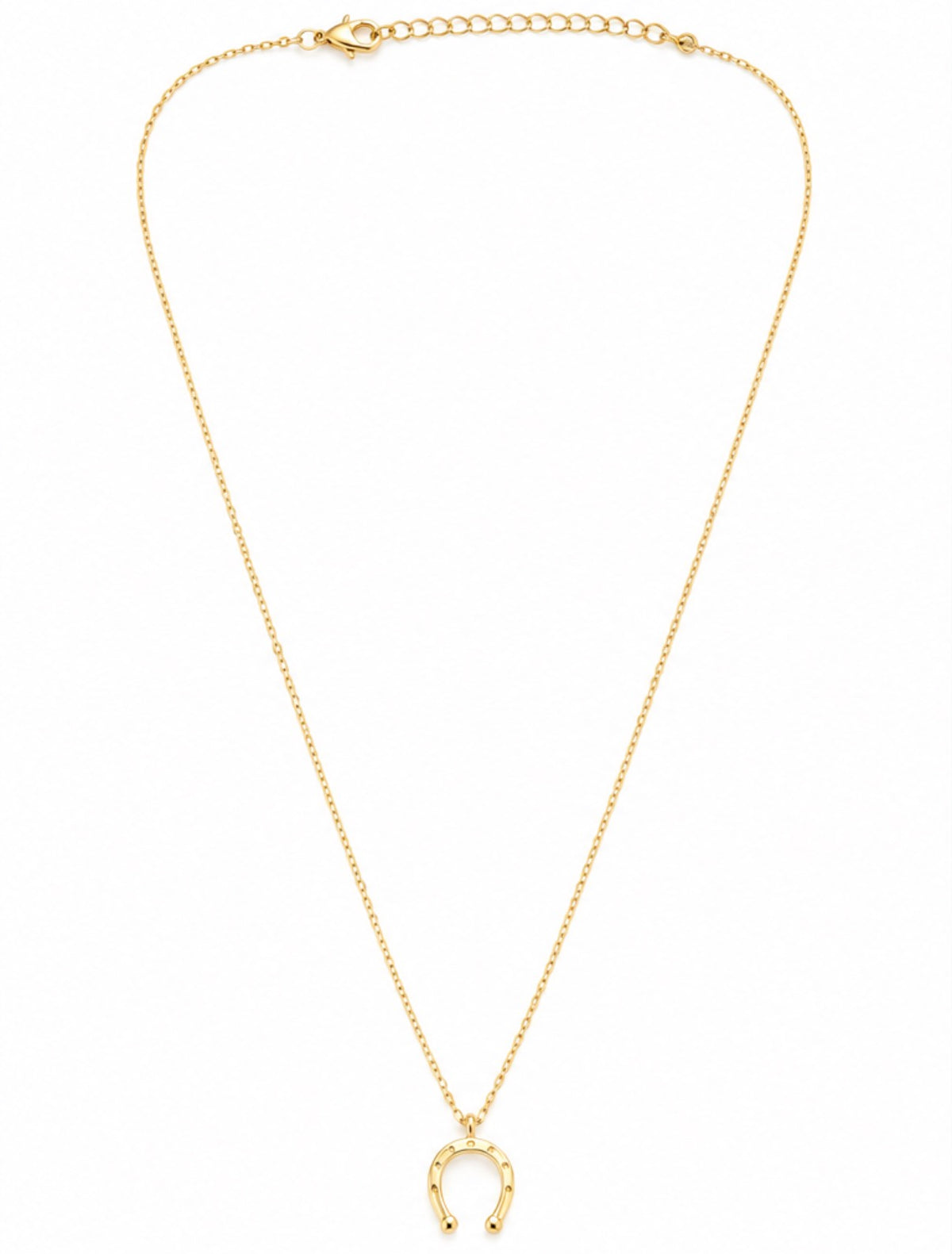Lucky Horseshoe Necklace