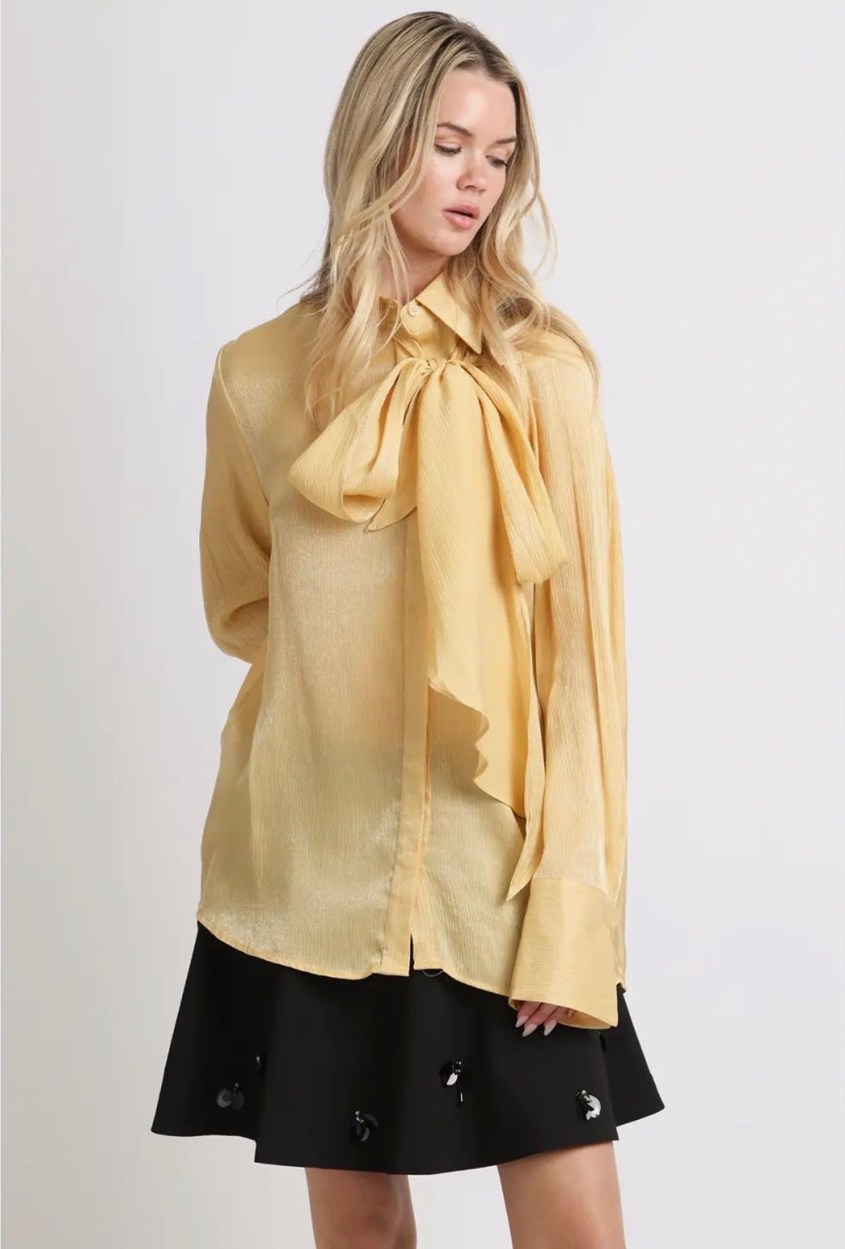 Luminous Crinkled Tie- Neck Blouse