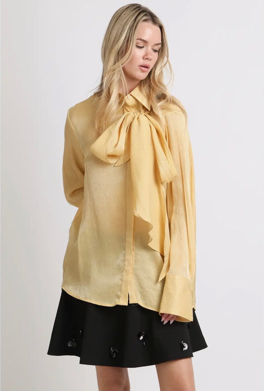 Luminous Crinkled Tie- Neck Blouse