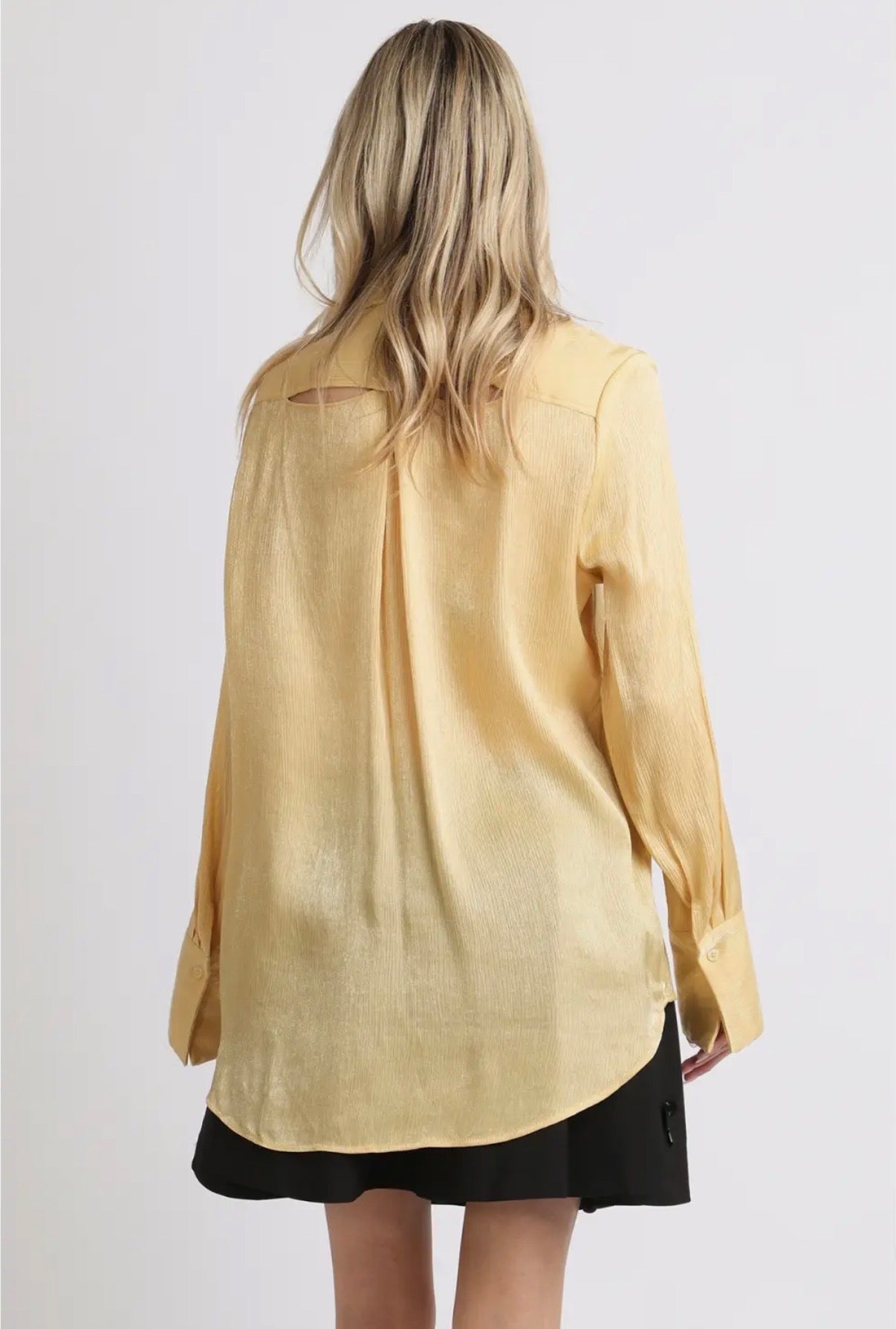 Luminous Crinkled Tie- Neck Blouse